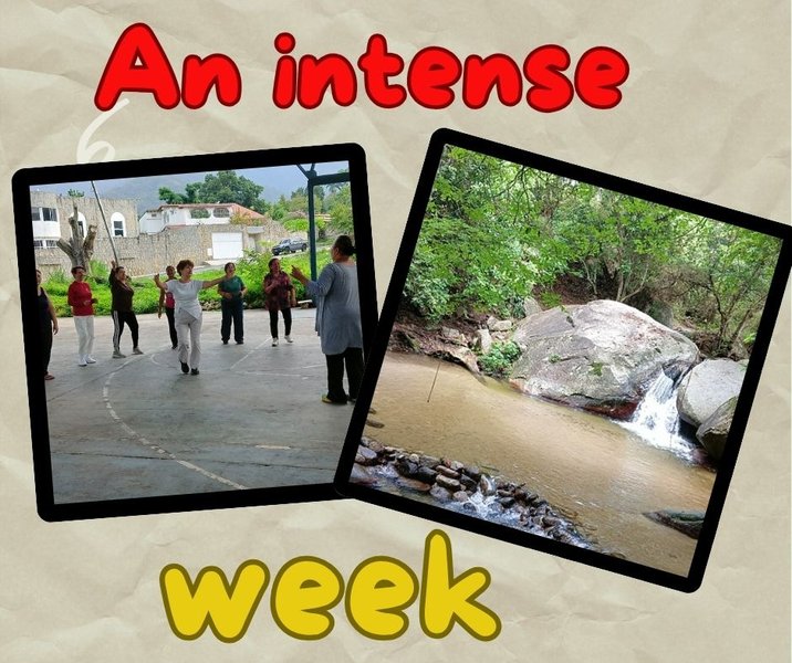 An intense week||Una semana intensa