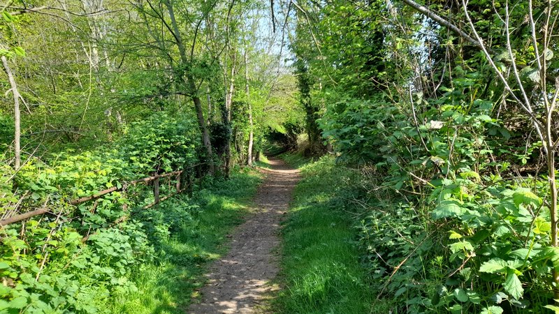 Morning Walk - 10 miles (shopping in town and enjoying the sun ☀)