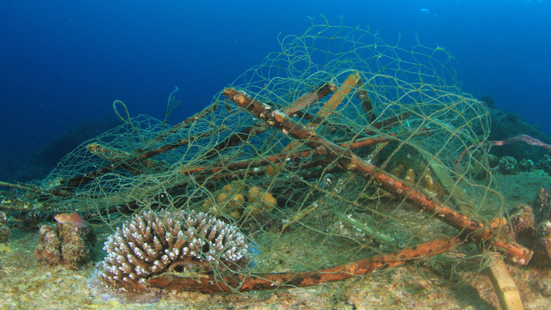AI sonar is finding and eliminating abandoned nets in the world's seas