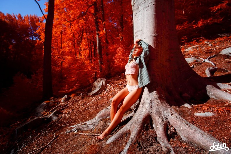 Audrey : Hot Winds part 9 (Infrared Photography on Hive)