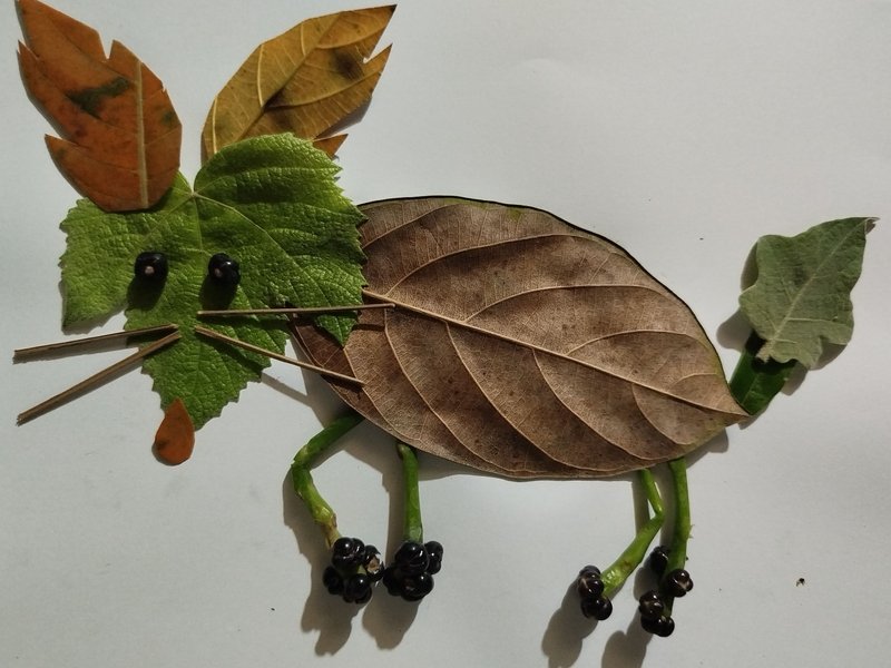 Rush Townsend : Fox  Art in the touch of nature