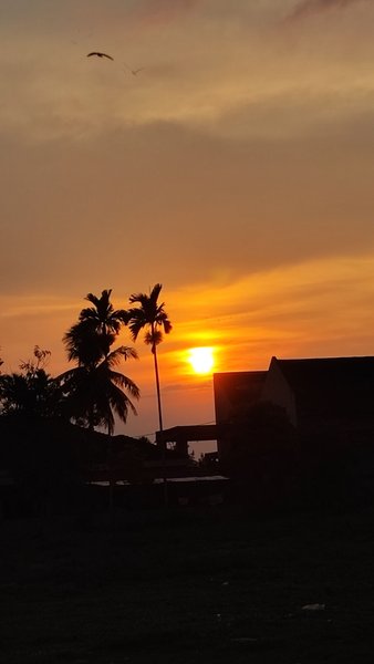 Beautiful Sunset 