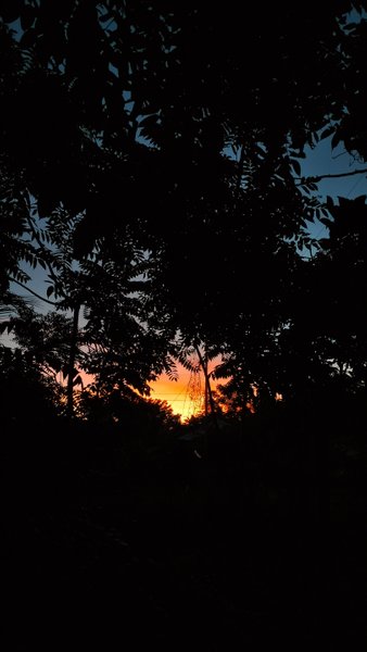 As the Sun Sets, she radiates grace, masterpiece connected to God's embrace. 