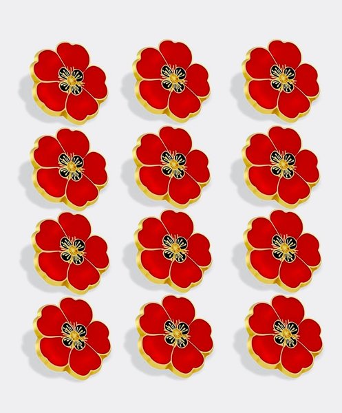 Why the Poppy?