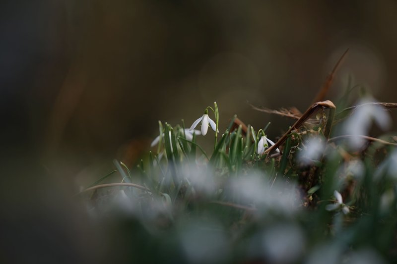 Spring is here!