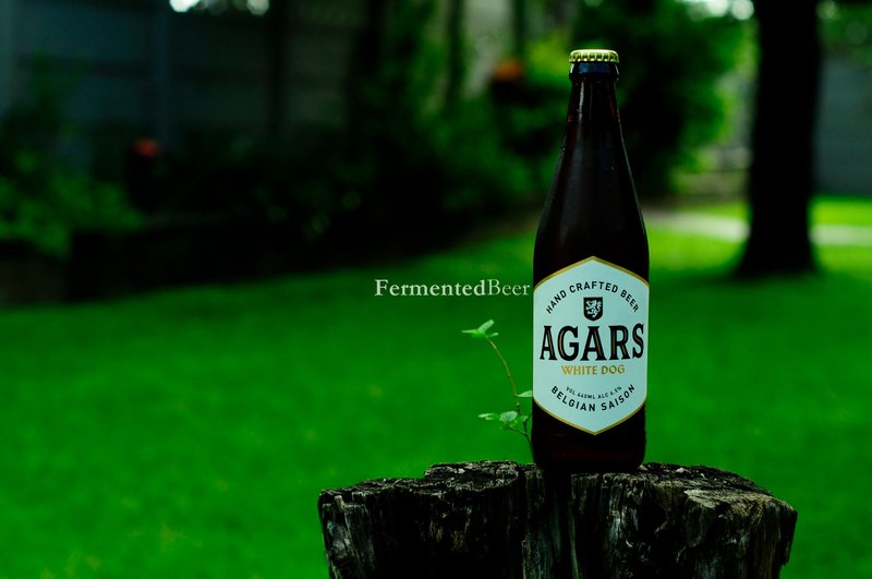 Enjoying One Too Many of Agars Craft Beers for #BeerSaturday