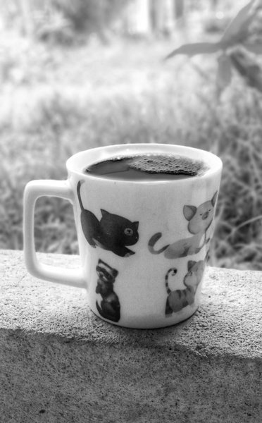 My Black and White Photography Challenge Entry # 485