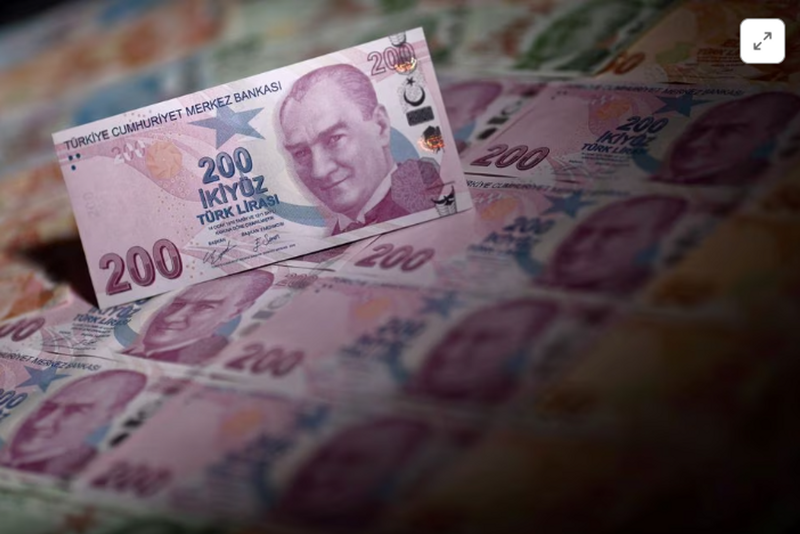 The Daily Leo #301: Turkish Lira Hits Low, Japan exempts 30% Tax, MetaBirkins NFT Sale Banned