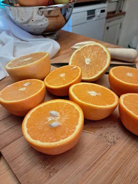 Marmalade musings