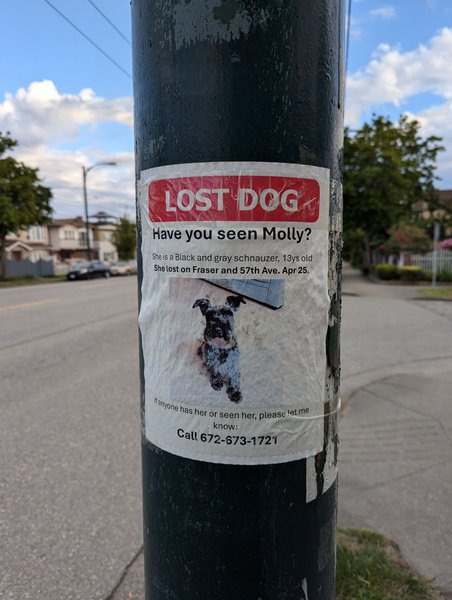 Sad poster of a missing pet in Vancouver 