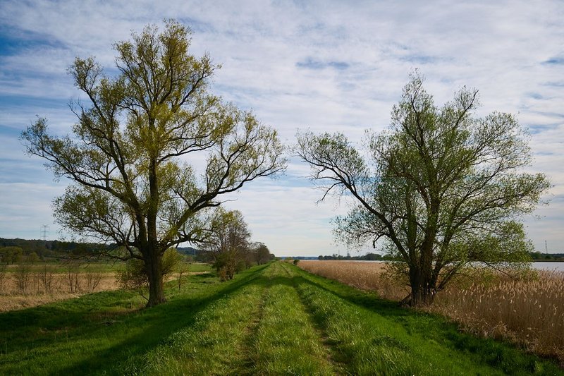 Walk between meadows and the river