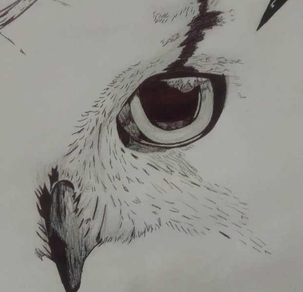 Art #7
