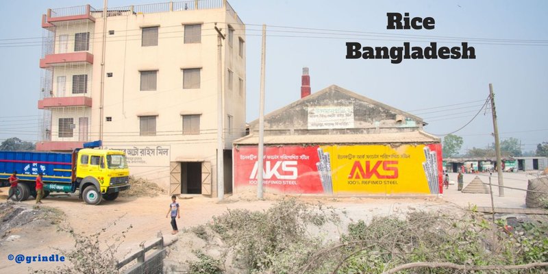 Random stops on the road to the Chittagong Hill Tracts: Rice. 