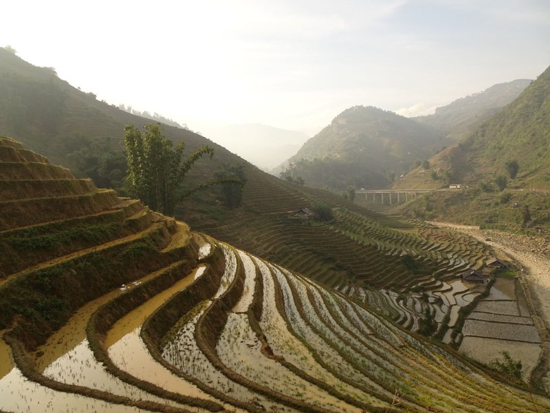 Sa Pa aka Paddy Paradies
