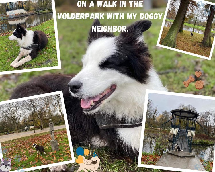 On a walk in the Volderpark with my doggy neighbor.