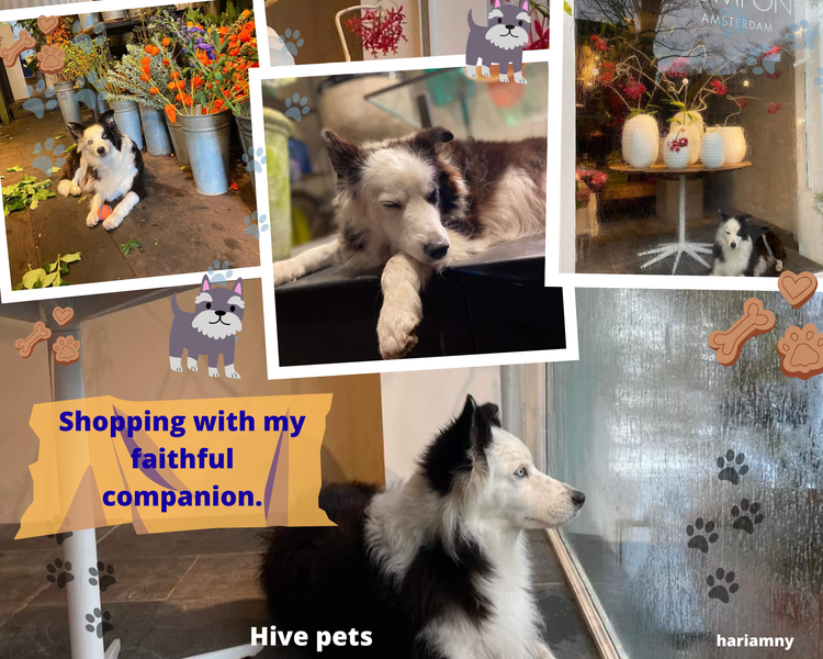 The best company to do my shopping: my doggy, furry neighbor.