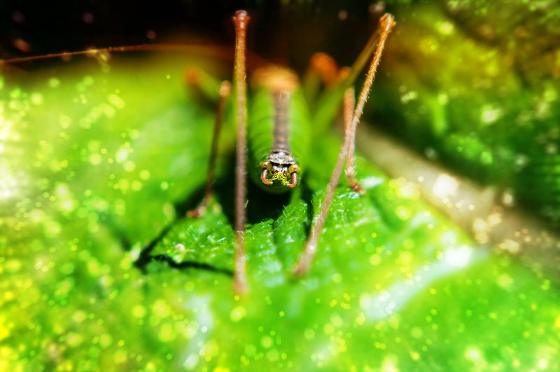 Nature in the Small