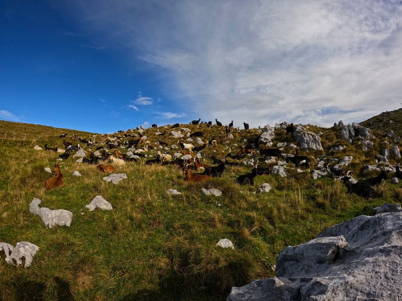 Autumn weather ; changes from minute to minute, but still fascinates