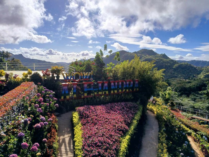 Blooms Galore at Buwakan in Alejandra