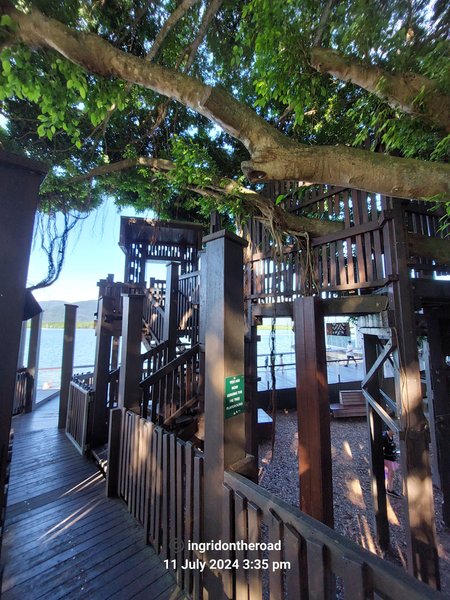 Fig Tree Playground