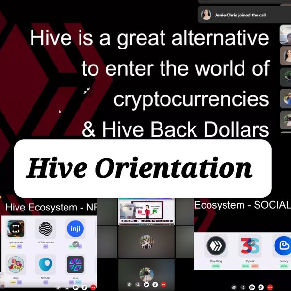 HIVE ORIENTATION : Bringing More People Inside the Hive Blockchain