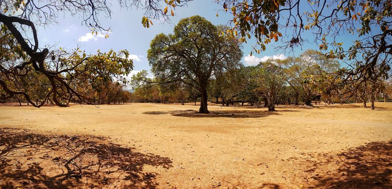 An Oasis in the Middle of the City / Un Oasis en Medio de la Ciudad