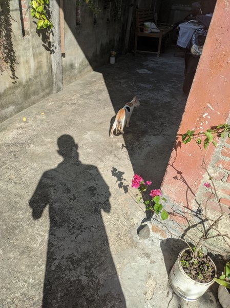 Entry shadow hunters contest round 270