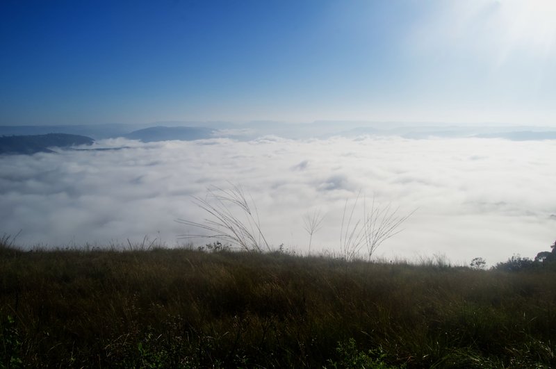 #Wednesday Walk - Looking Down on the Clouds in the Valley of a Thousand Hills