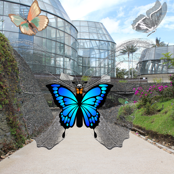 Vuela, eres libre. Recuerdalo | Fly, you are free. Remember that. Collage estilo libre