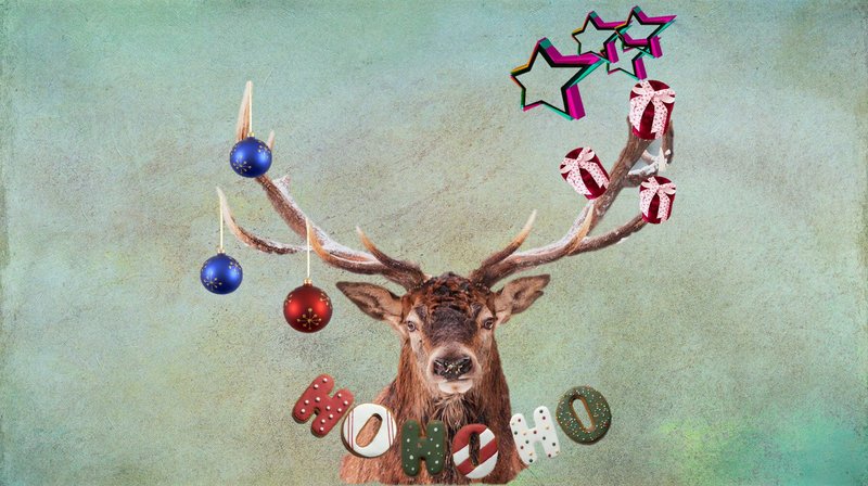 Animal Charity project 🎨🐶🐱 by @ravenmus1c: Reindeer