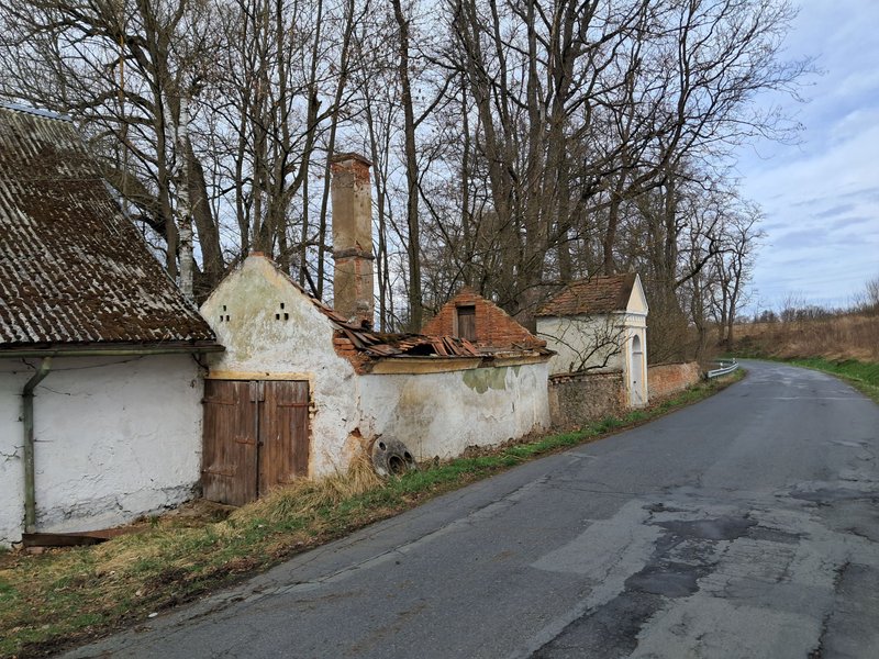 I Continue to Save Food / Pokračuji v záchraně jídla