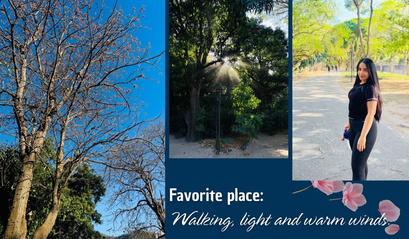 My favorite place: An afternoon walk full of light and warm winds. 💙☀️🍃ENG-ESP 