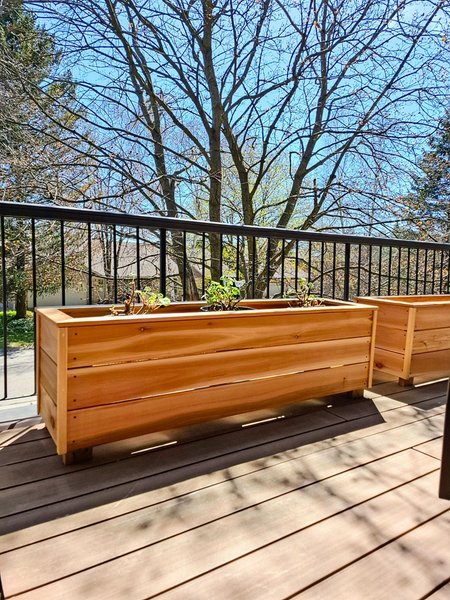 Cedar Planter Boxes
