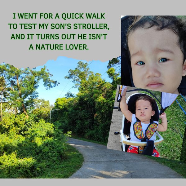 I went for a quick walk to test my son's stroller, and it turns out he isn't a nature lover.