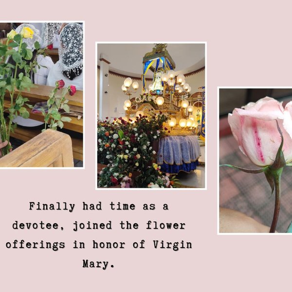 Finally had time as a devotee, joined the flower offerings in honor of Virgin Mary.