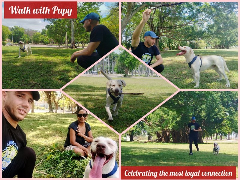 A Walk with Pupy, Celebrating the Most Loyal Connection [en/es]