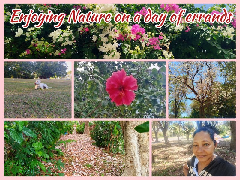 Enjoying Nature on a day of errands [en/es]
