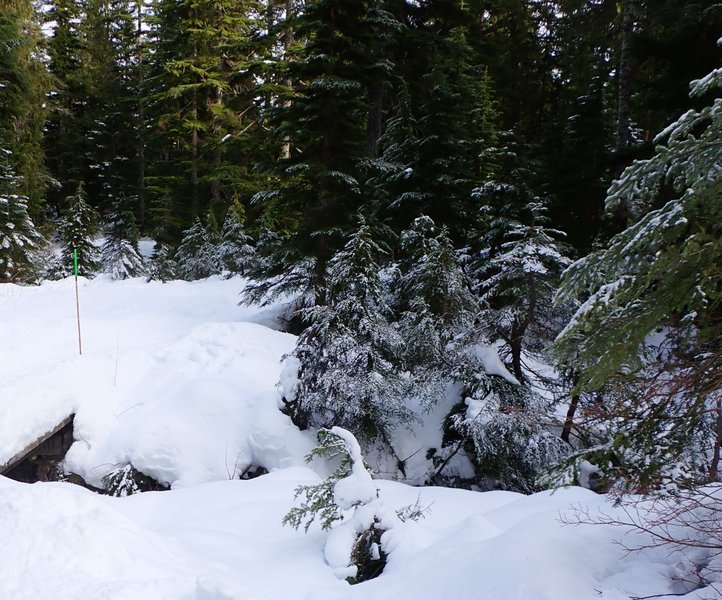 Slippery Slopes