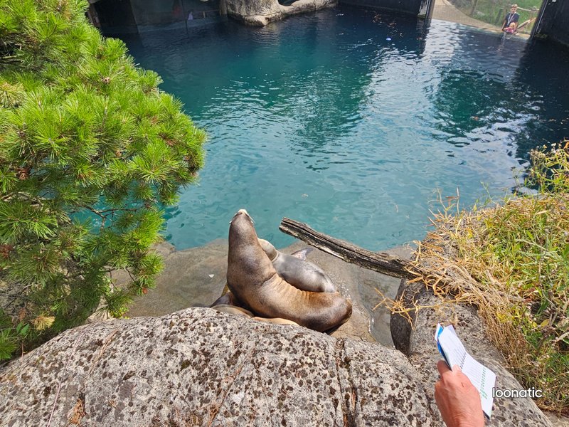 Day at the zoo