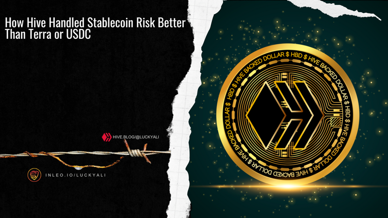 How Hive Handled Stablecoin Risk Better Than Terra or USDC