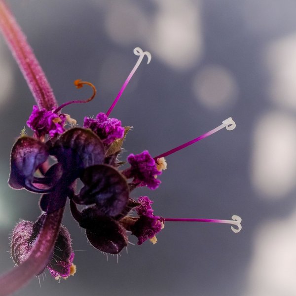 Nature through the lens