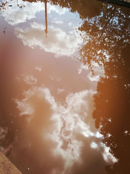 Liquid sky/ Cielo líquido-Reflection Hunters Contest round 222 [ENG-ESP]