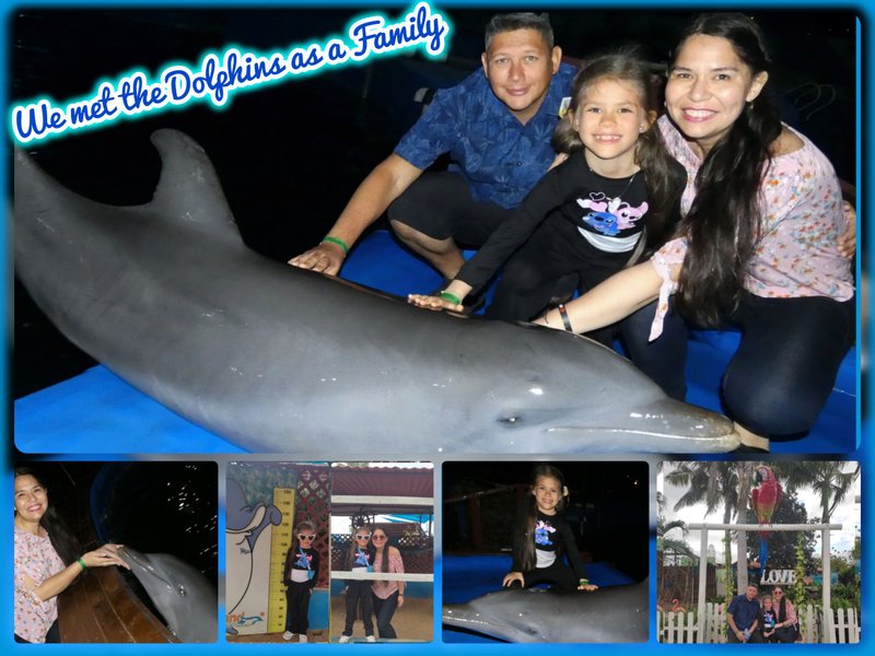 [Esp/Eng] We met the Dolphins as a Family! 🐬✨  
