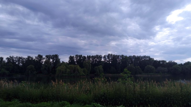 Przyjemny czerwcowy poniedziałek - My Actifit Report Card: June 2 2025