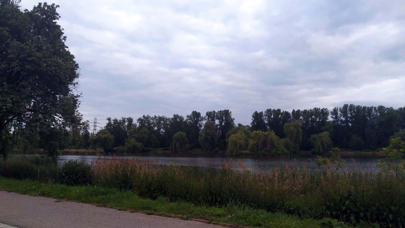 Tegoroczny ma j mnie rozczarował - My Actifit Report Card: May 29 2025