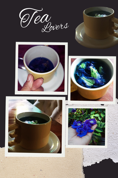 The Making of a Powerful Blue Ternate Antioxidant Flower Tea| Butterfly Pea Flower