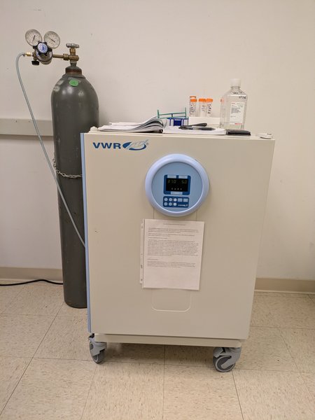 CO2 Incubator Decontamination