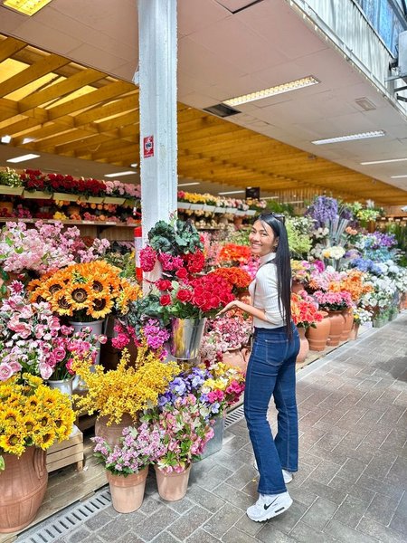 Let's take a walk to see the plants and flowers to plant in the summer. 🌻🌱🌷| Montebello della Battaglia Italy.