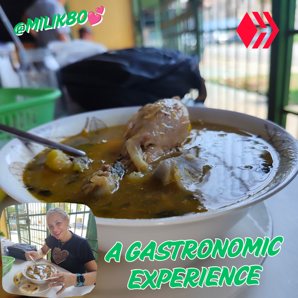 A gastronomic experience // Una experiencia gastronómica
