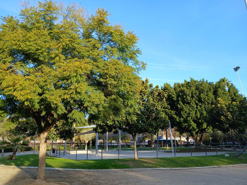 Happiness Park